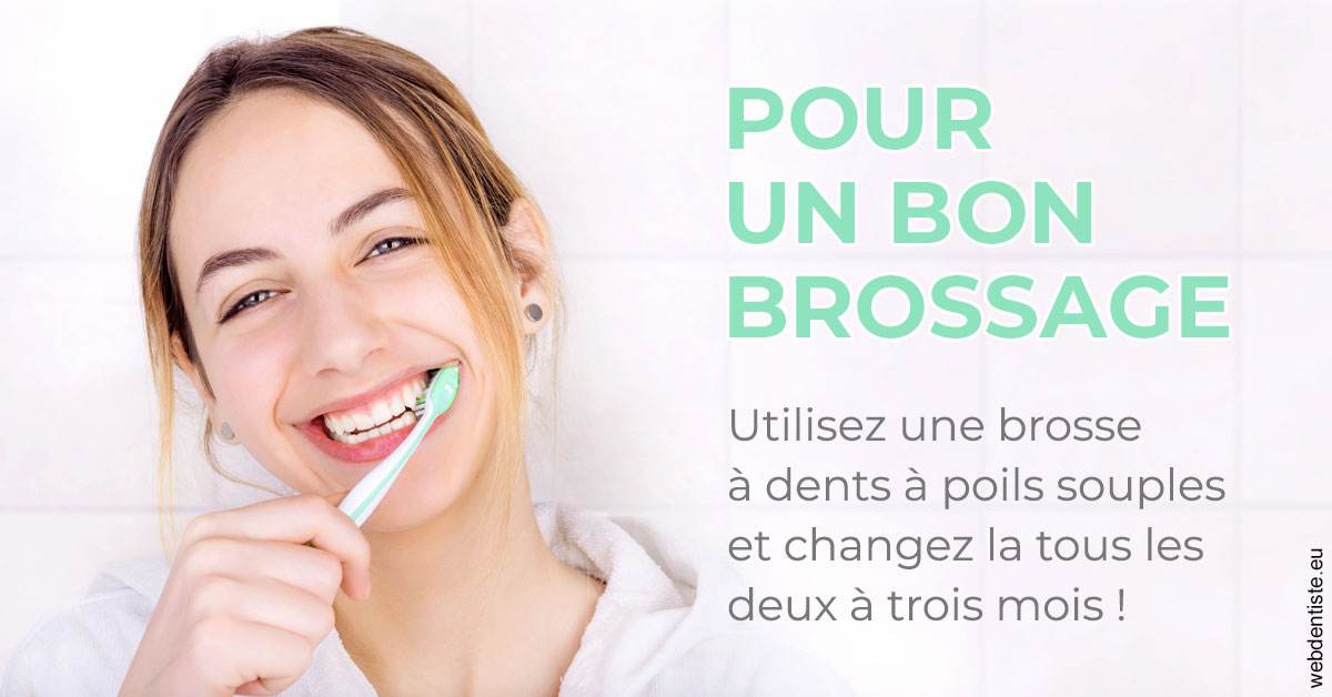 https://selarl-ms-dentaire.chirurgiens-dentistes.fr/Pour un bon brossage 2