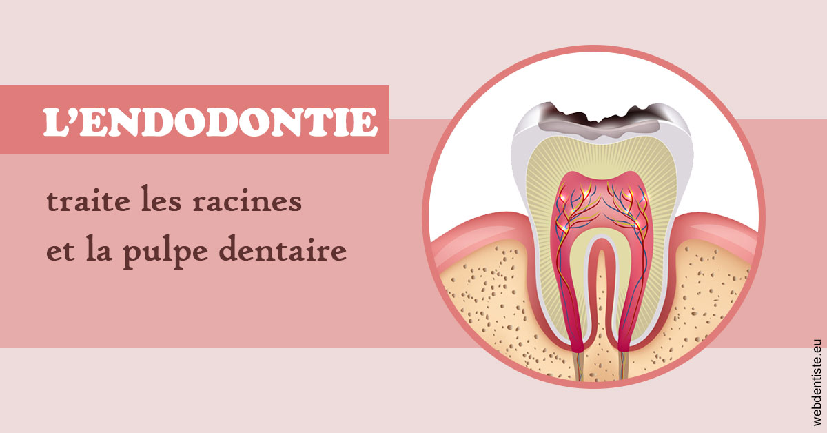 https://selarl-ms-dentaire.chirurgiens-dentistes.fr/L'endodontie 2