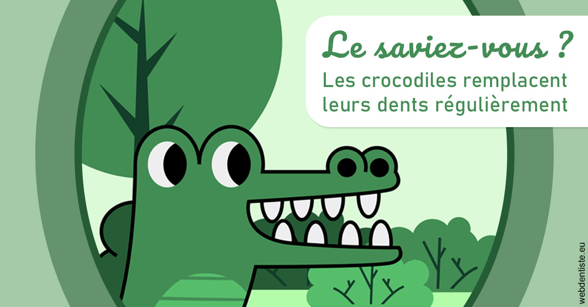 https://selarl-ms-dentaire.chirurgiens-dentistes.fr/Crocodiles 2